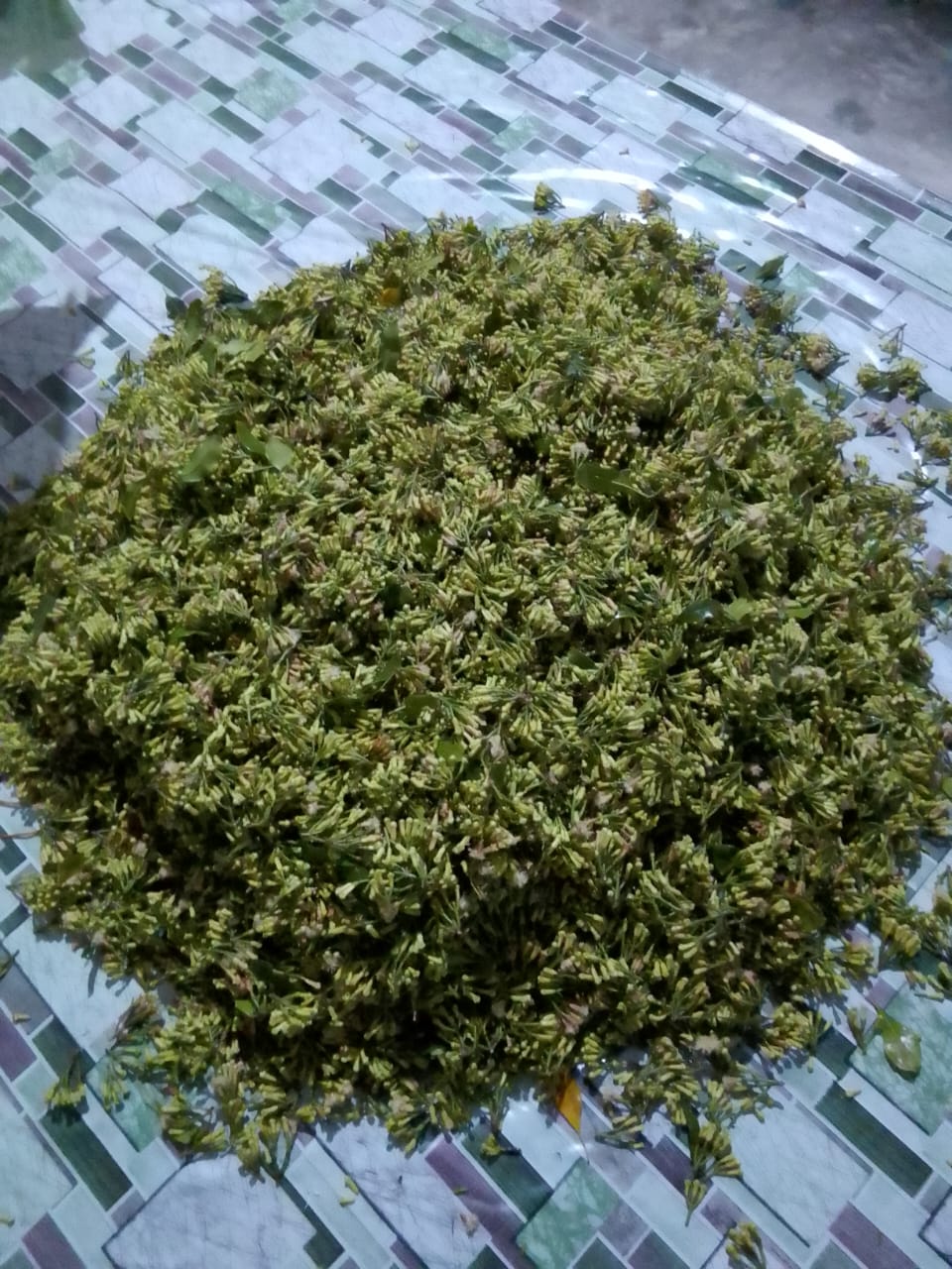 Hasil panen perkebunan cengkeh
